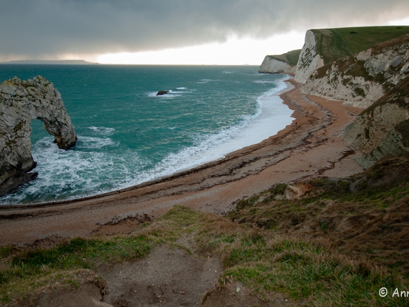 Nature along the Dorset Coast