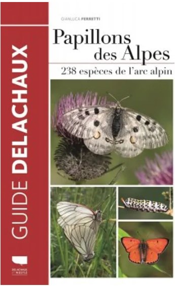 Book cover - Alpine butterflies